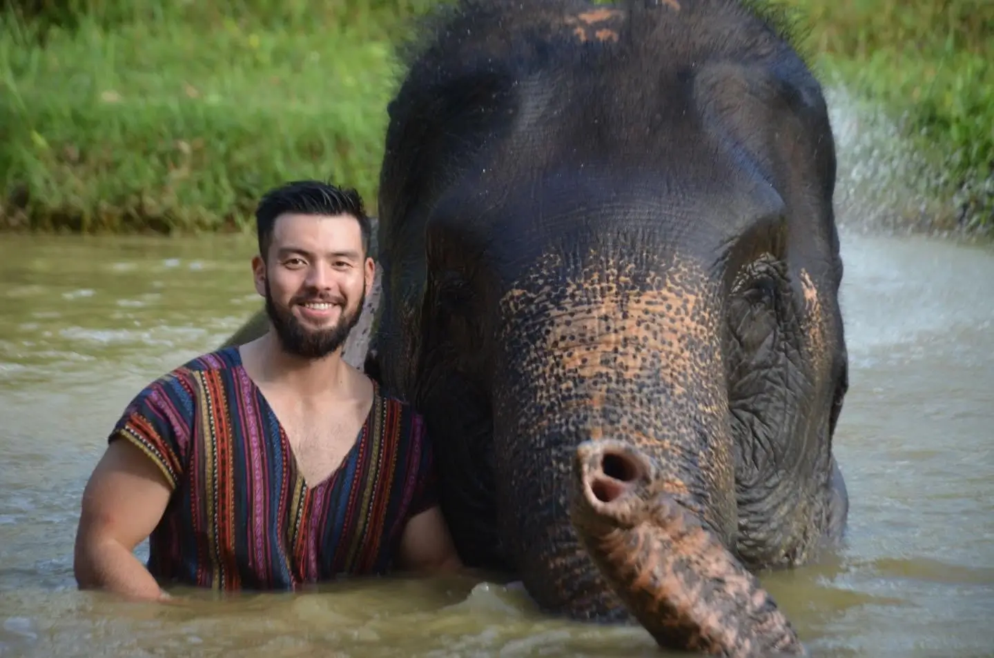 Заповедник со слонами на Пхукете Заповедник со слонами на Пхукете