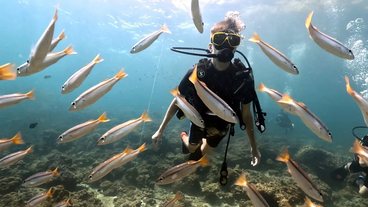 Дайвинг на Пхукете Дайвинг на Пхукете
