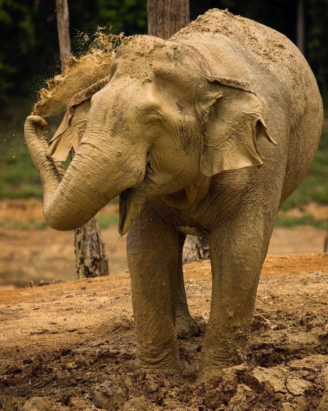 Озеро Чео Лан и Као Сок на 2 дня Озеро Чео Лан и Као Сок на 2 дня